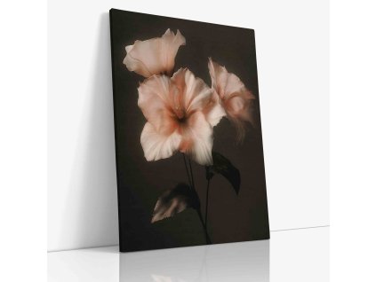 PDFLOWER 0072 VIEW Canvas V mirror wr