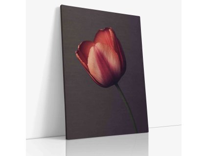 PDFLOWER 0074 VIEW Canvas V mirror wr