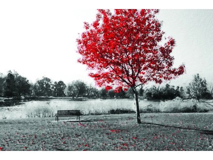 Obraz Strom s červeným listím - Obraz na plátně