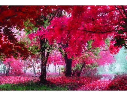 1349 obraz cernobily strom s cervenym obraz na platne