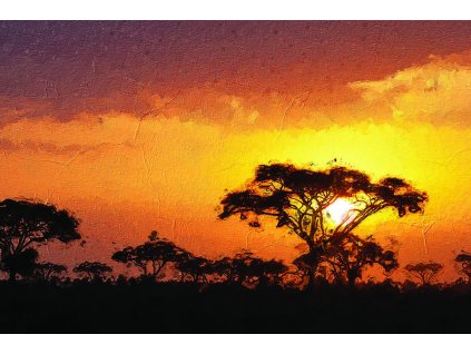 Obraz Africký východ slunce - Obraz na plátně