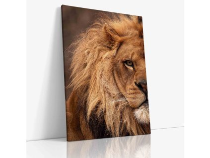 0579 Canvas V mirror wr