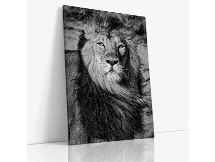 0591 Canvas V mirror wr