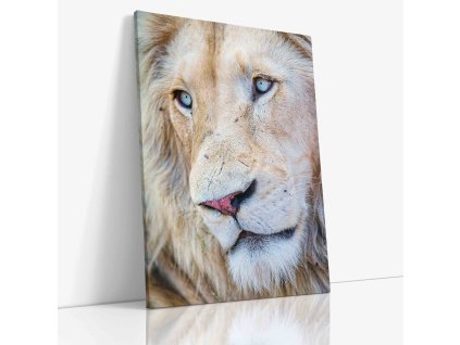 0592 Canvas V mirror wr