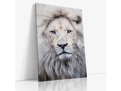 0593 Canvas V mirror wr