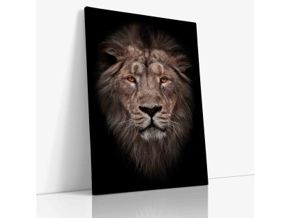 0601 Canvas V mirror wr