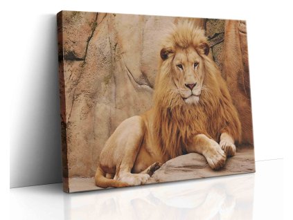 0610 Canvas H image vr.