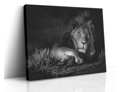 0612 Canvas H image vr.