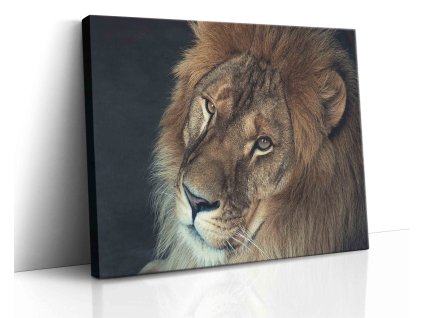 0613 Canvas H image vr.