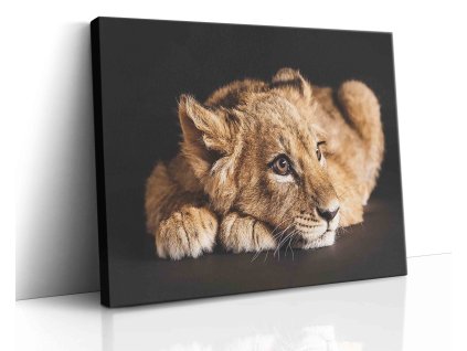 0616 Canvas H image vr.