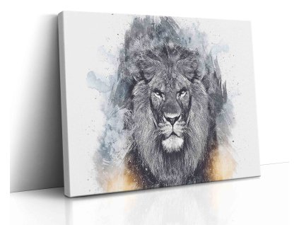 0617 Canvas H image vr.