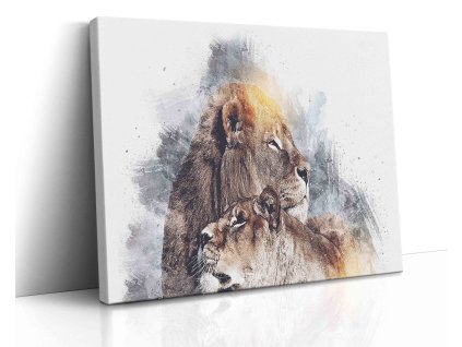 0619 Canvas H image vr.