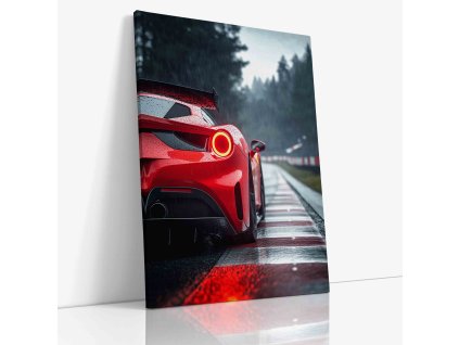 PDCAR 0003 VIEW Canvas V mirror wr