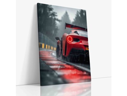 PDCAR 0002 VIEW Canvas V mirror wr