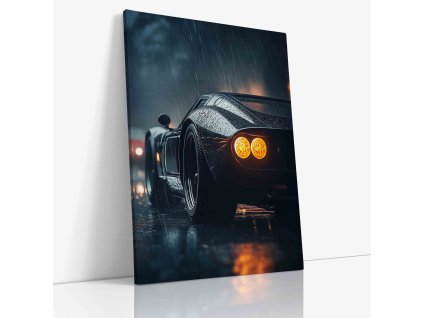 PDCAR 0005 VIEW Canvas V mirror wr