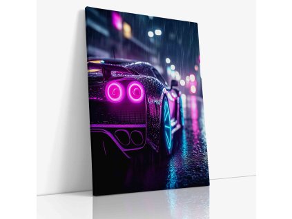 PDCAR 0007 VIEW Canvas V mirror wr