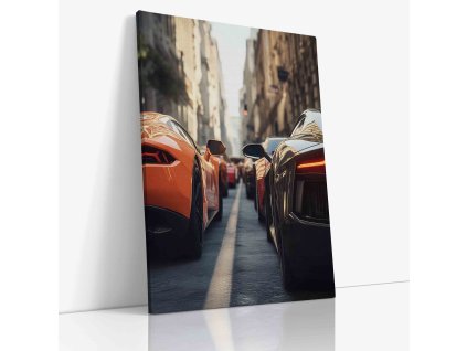 PDCAR 0009 VIEW Canvas V mirror wr