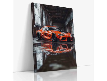 PDCAR 0011 VIEW Canvas V mirror wr