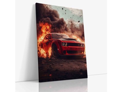 PDCAR 0025 VIEW Canvas V mirror wr