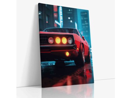 PDCAR 0027 VIEW Canvas V mirror wr