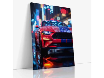 PDCAR 0028 VIEW Canvas V mirror wr