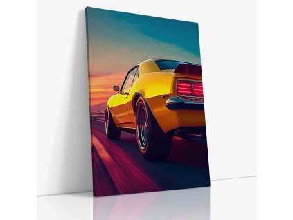 PDCAR 0030 VIEW Canvas V mirror wr