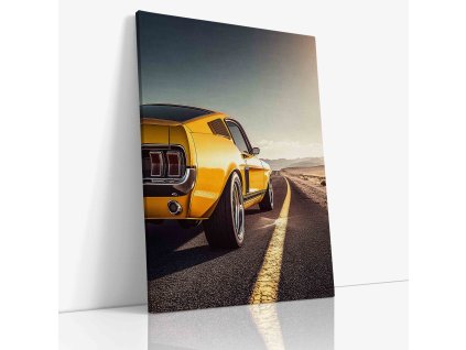 PDCAR 0031 VIEW Canvas V mirror wr