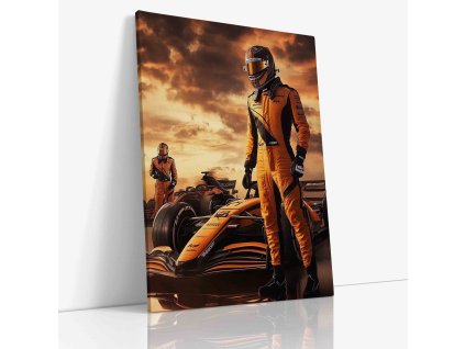 PDCAR 0033 VIEW Canvas V mirror wr