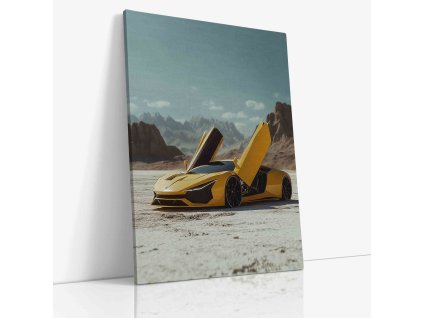 PDCAR 0034 VIEW Canvas V mirror wr