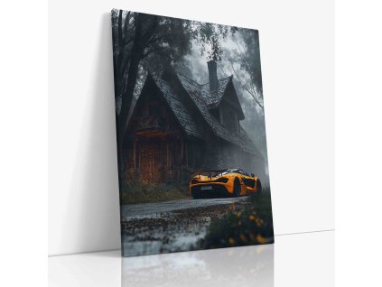 PDCAR 0035 VIEW Canvas V mirror wr