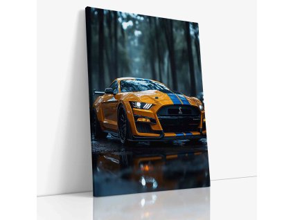 PDCAR 0036 VIEW Canvas V mirror wr