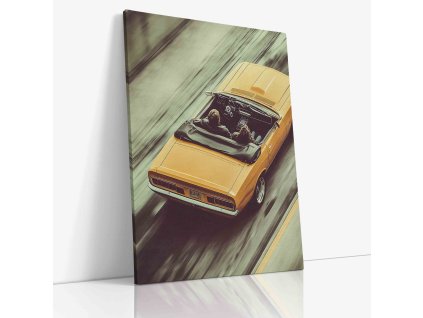 PDCAR 0037 VIEW Canvas V mirror wr