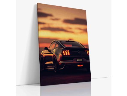 PDCAR 0038 VIEW Canvas V mirror wr