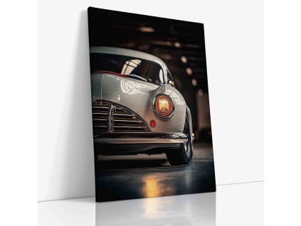 PDCAR 0045 VIEW Canvas V mirror wr