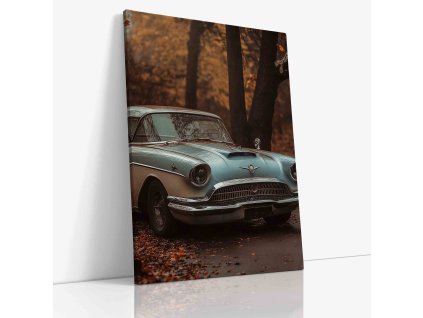 PDCAR 0046 VIEW Canvas V mirror wr