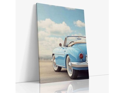 PDCAR 0048 VIEW Canvas V mirror wr