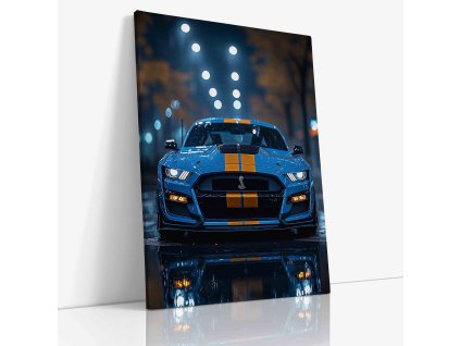 PDCAR 0049 VIEW Canvas V mirror wr