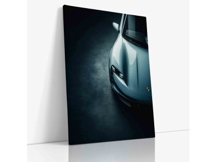 PDCAR 0051 VIEW Canvas V mirror wr