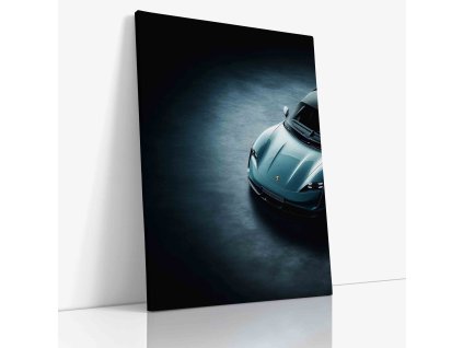 PDCAR 0052 VIEW Canvas V mirror wr