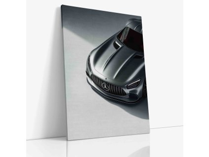 PDCAR 0053 VIEW Canvas V mirror wr