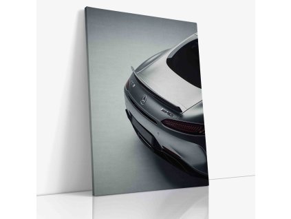 PDCAR 0054 VIEW Canvas V mirror wr