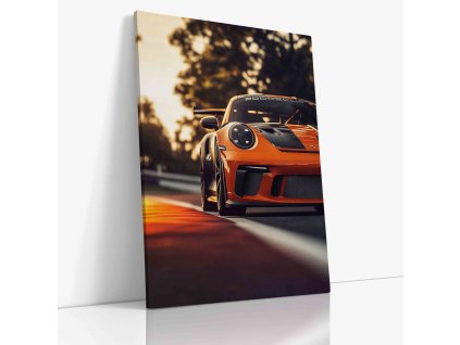 PDCAR 0056 VIEW Canvas V mirror wr