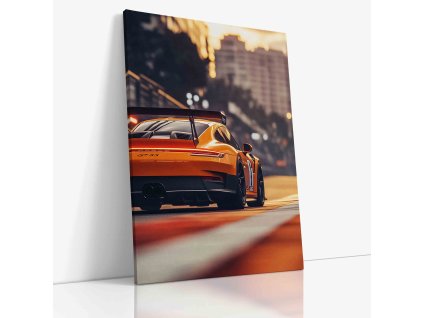 PDCAR 0057 VIEW Canvas V mirror wr