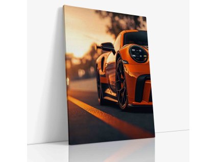 PDCAR 0058 VIEW Canvas V mirror wr