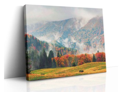 0653 Canvas H mirror vr.