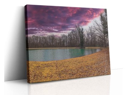 0654 Canvas H mirror vr.