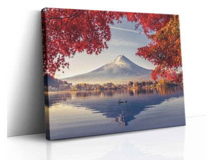 0660 Canvas H mirror vr.