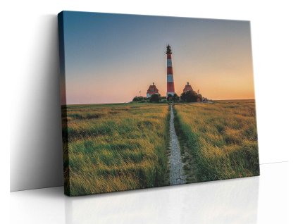 0677 Canvas H mirror vr.