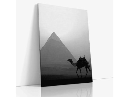 PDPLACE 0014 VIEW Canvas V mirror wr