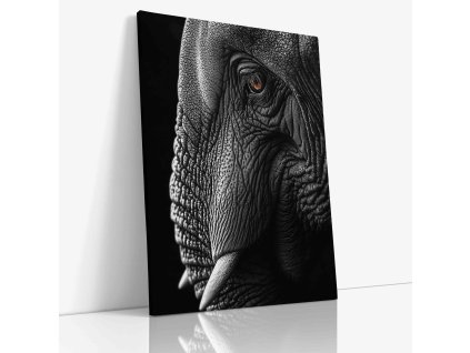 ANIMAL 0050 VIEW Canvas V mirror wr